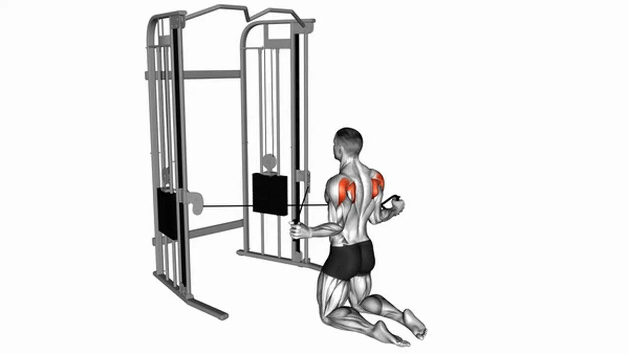 How to do Cable Kneeling Shoulder Internal Rotation? Image