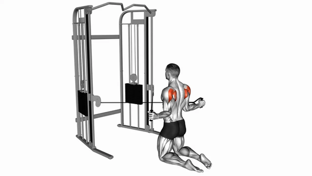 Common Cable Kneeling Shoulder Internal Rotation variations Image