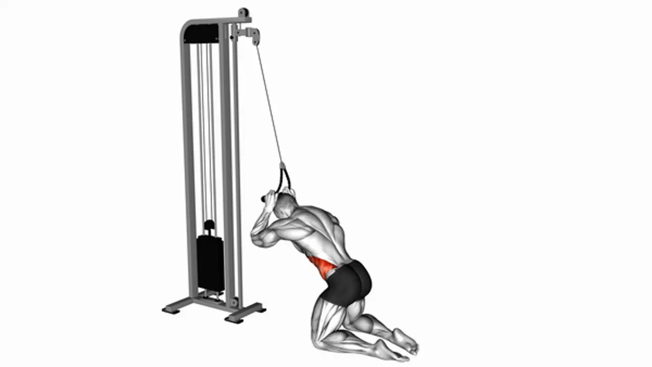 Cable Kneeling Side Crunch