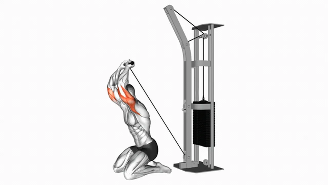 What are the benefits of Cable Kneeling Triceps Extensions? Image