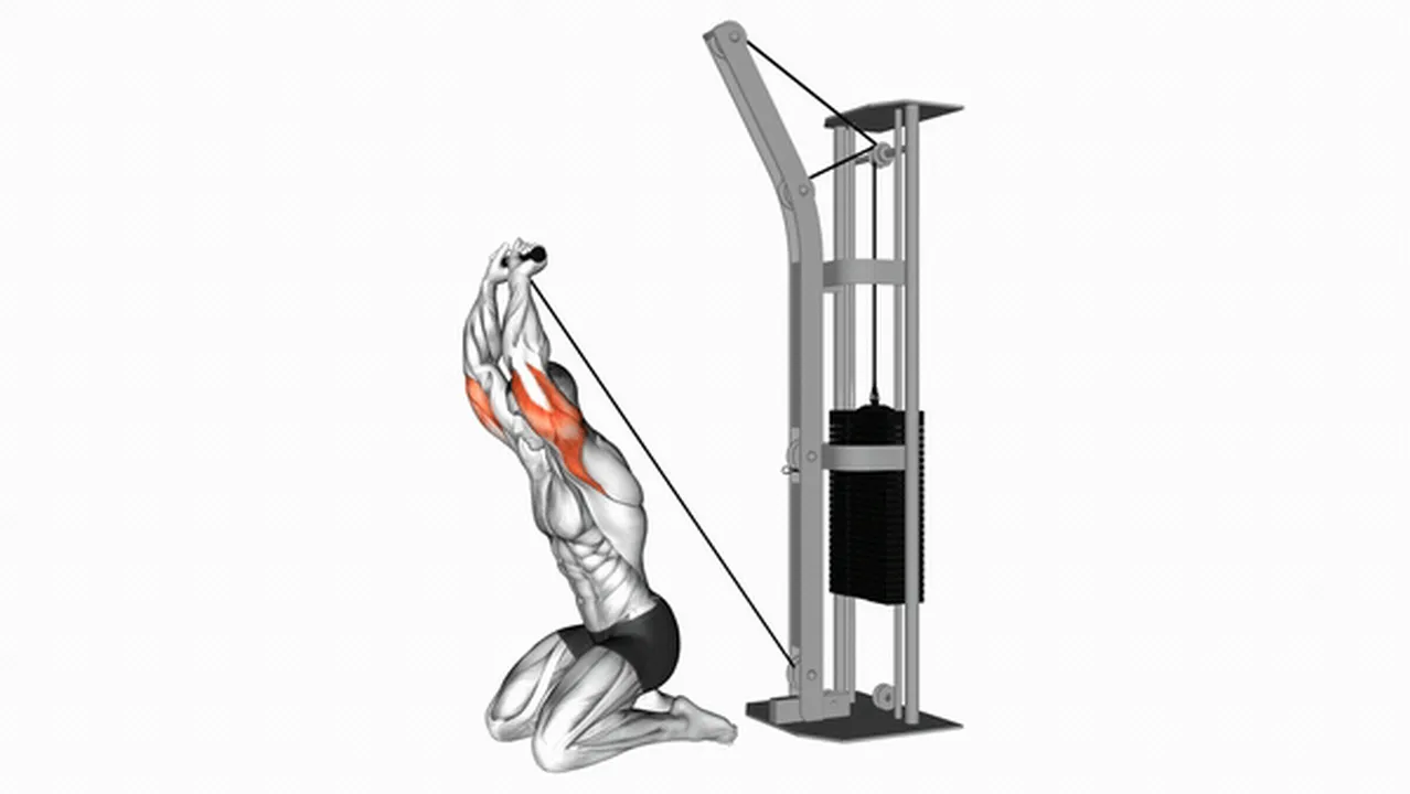 How to do Cable Kneeling Triceps Extensions? Image