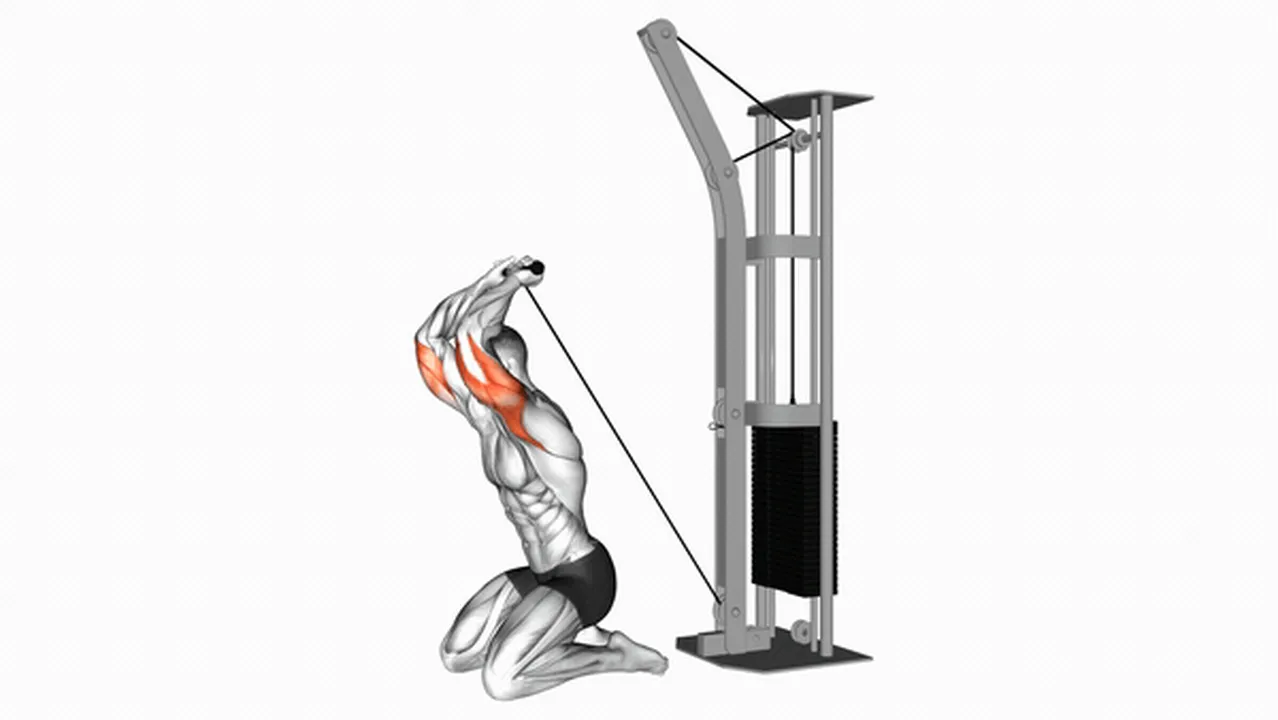 Common mistakes during Cable Kneeling Triceps Extensions Image