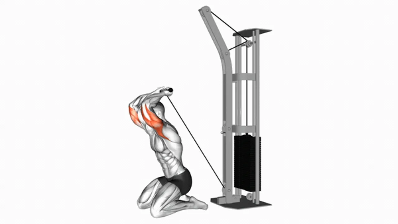 Cable Kneeling Triceps Extension