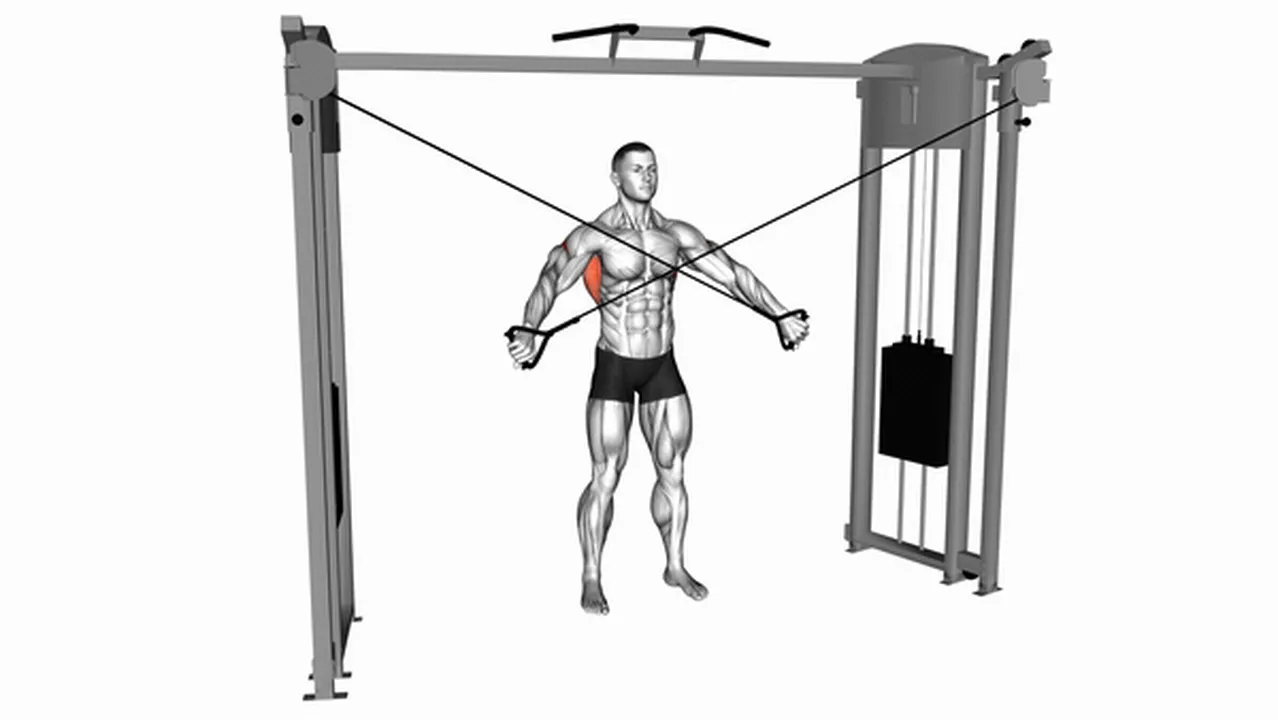 Common Cable Lat Pulldown variations Image