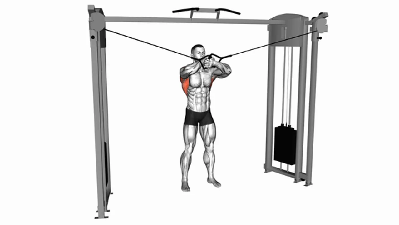 Cable Lat Pulldown