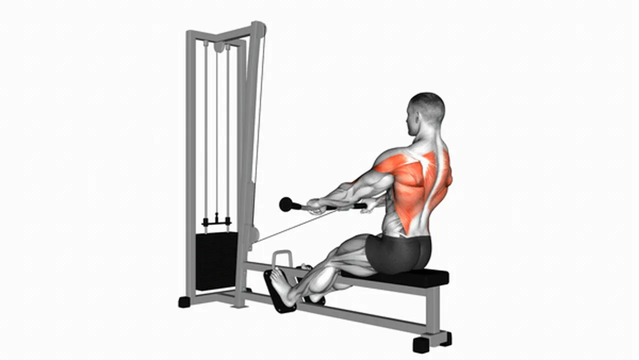 Alternatives to Cable Low Seated Rows Image