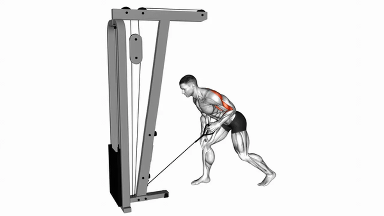 How to perform Cable One-Arm Bent-Over Rows? Image