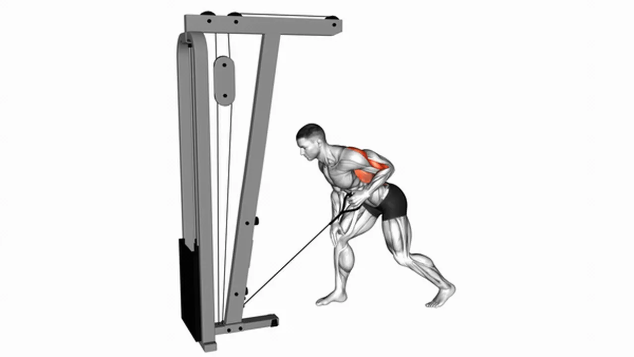 Common Cable One-Arm Bent-Over Row variations Image