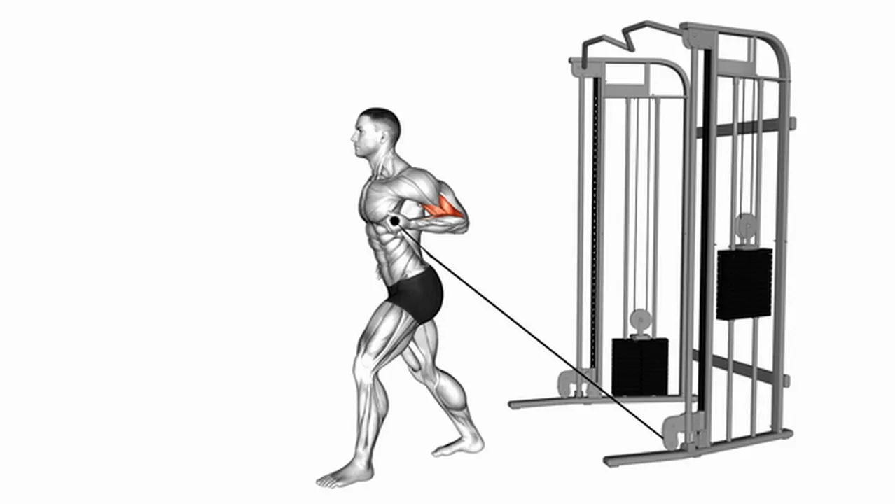 What are the benefits of Cable One-Arm Biceps Curls? Image