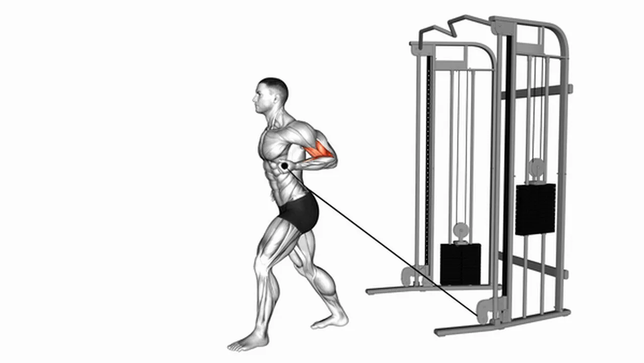 Common Cable One-Arm Biceps Curl variations Image