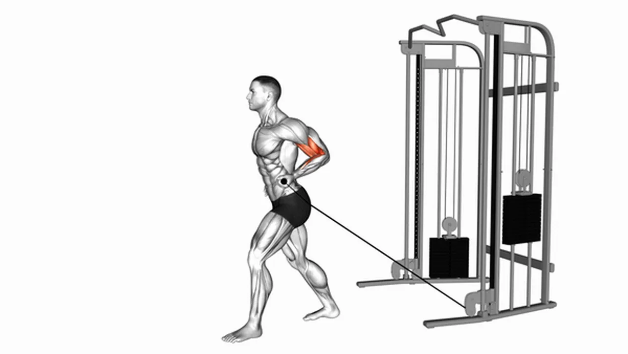 Alternatives to Cable One-Arm Biceps Curls Image