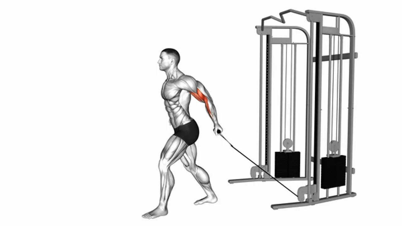 Cable One-Arm Biceps Curl