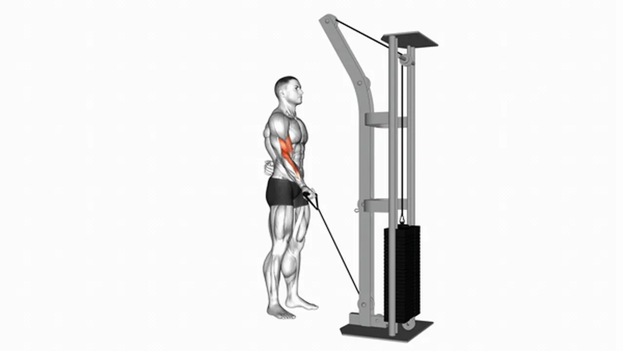 What are the benefits of cable one-arm curls? Image