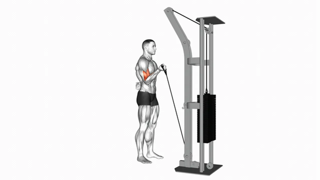 Common cable one-arm curl variations Image