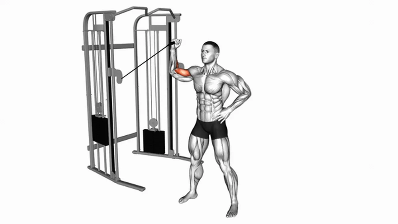 How to do Cable One-Arm Inner Biceps Curls? Image