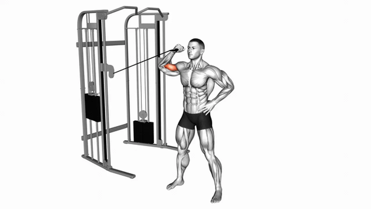 Common Cable One-Arm Inner Biceps Curl variations Image