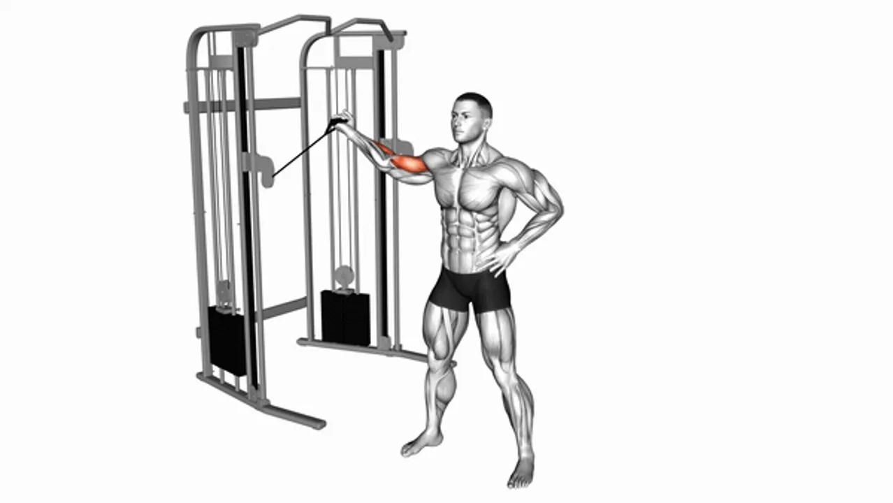 Cable One-Arm Inner Biceps Curl