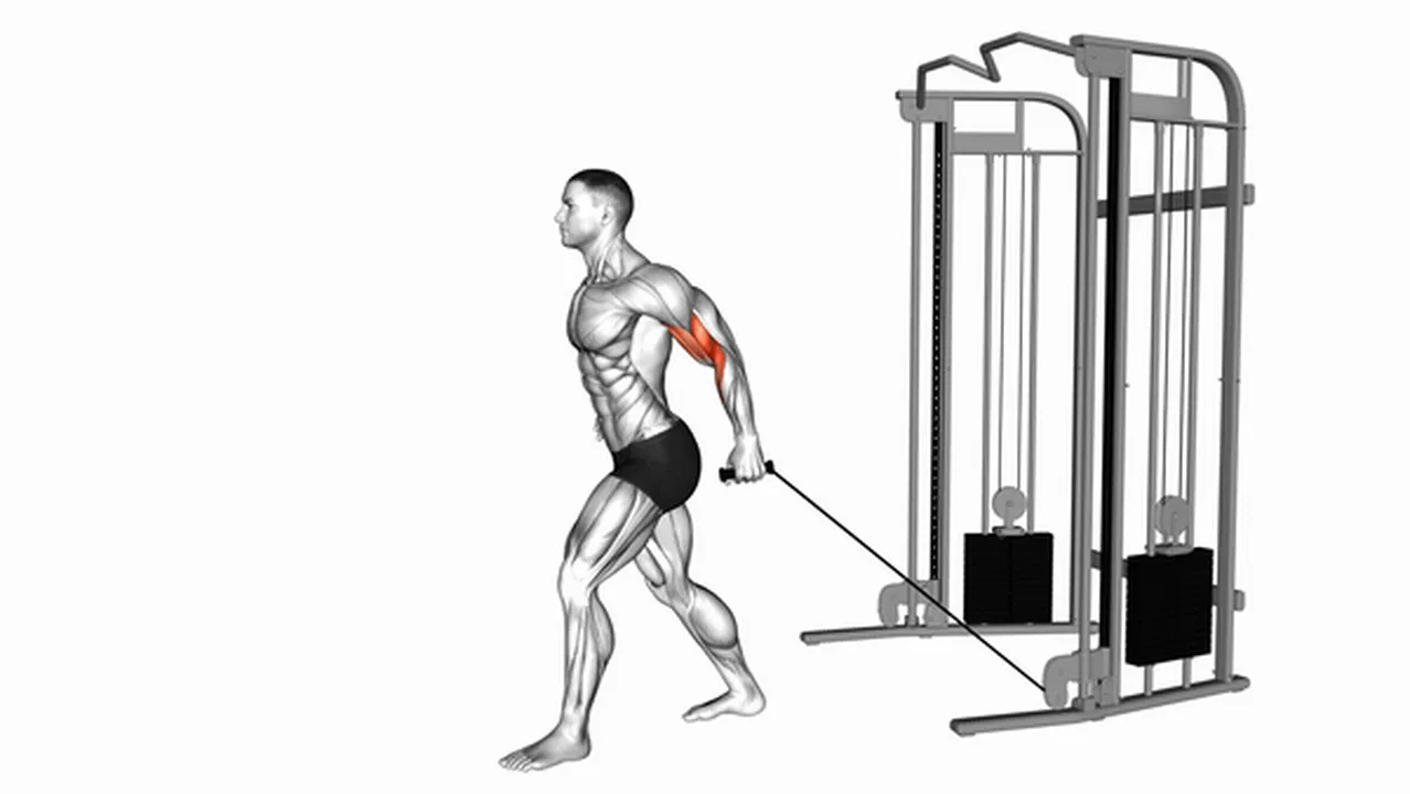 How to do Cable One Arm Neutral Grip Biceps Curls Image