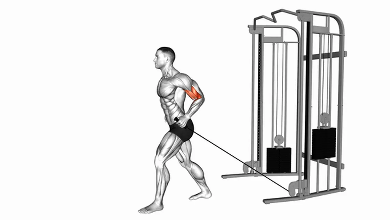 Common variations of Cable One Arm Neutral Grip Biceps Curls Image