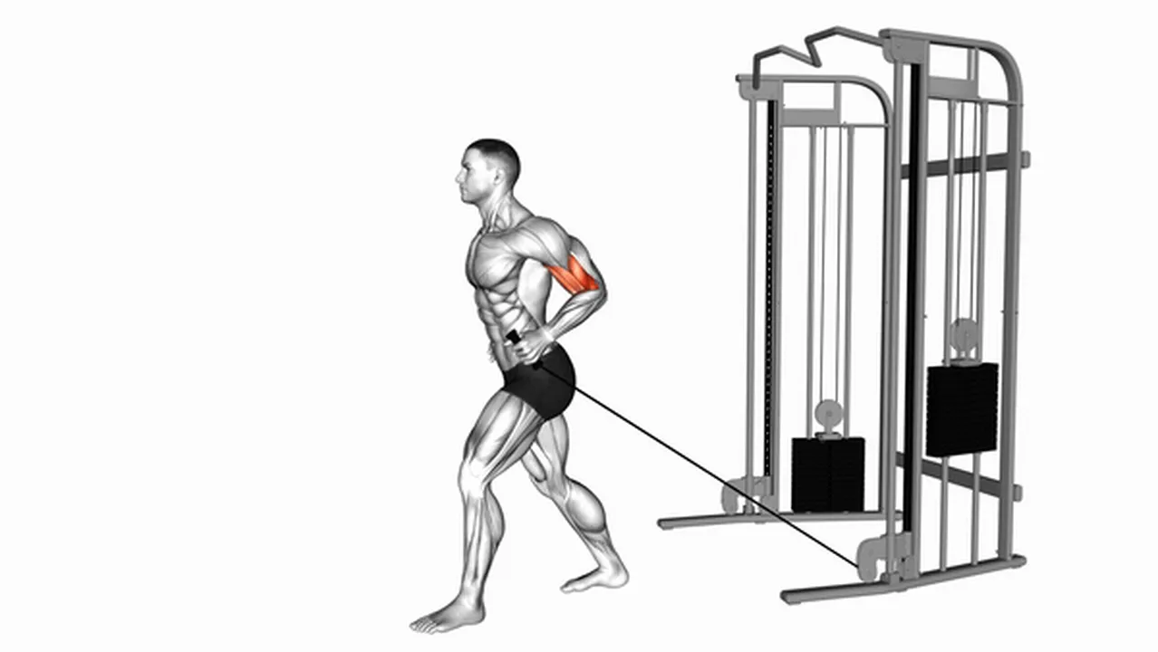 Alternatives to Cable One Arm Neutral Grip Biceps Curls Image