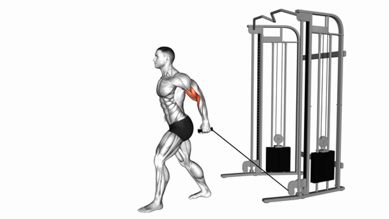 Cable One Arm Neutral Grip Biceps Curl