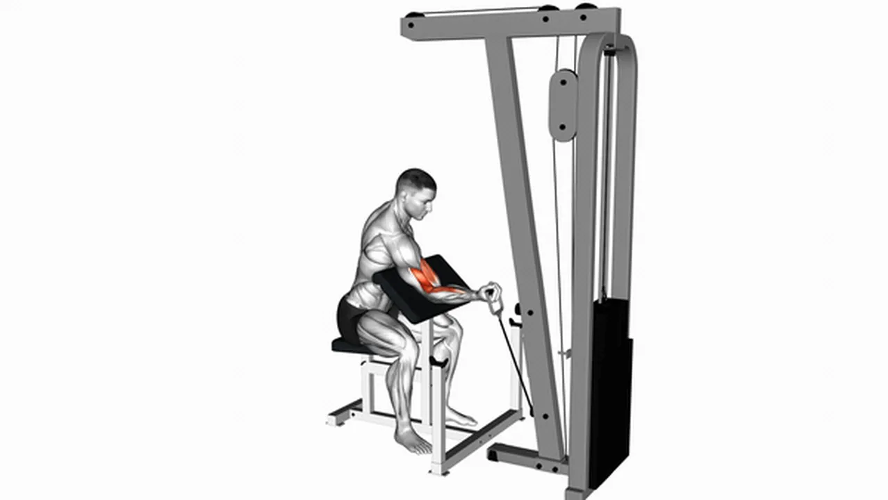 What are the benefits of Cable One Arm Preacher Curls? Image