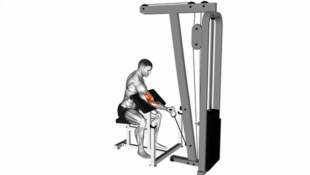 Cable One Arm Preacher Curl