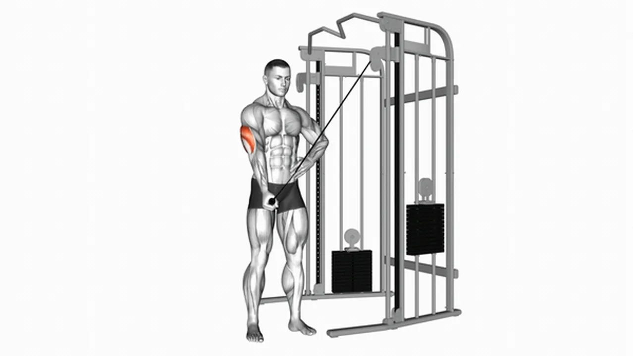 How to do Cable One Arm Side Triceps Pushdown? Image