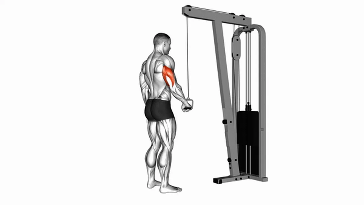 What are the benefits of Cable One Arm Tricep Pushdown? Image