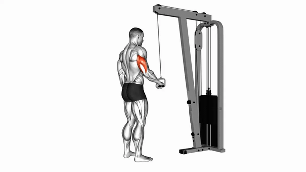 How to do Cable One Arm Tricep Pushdown? Image