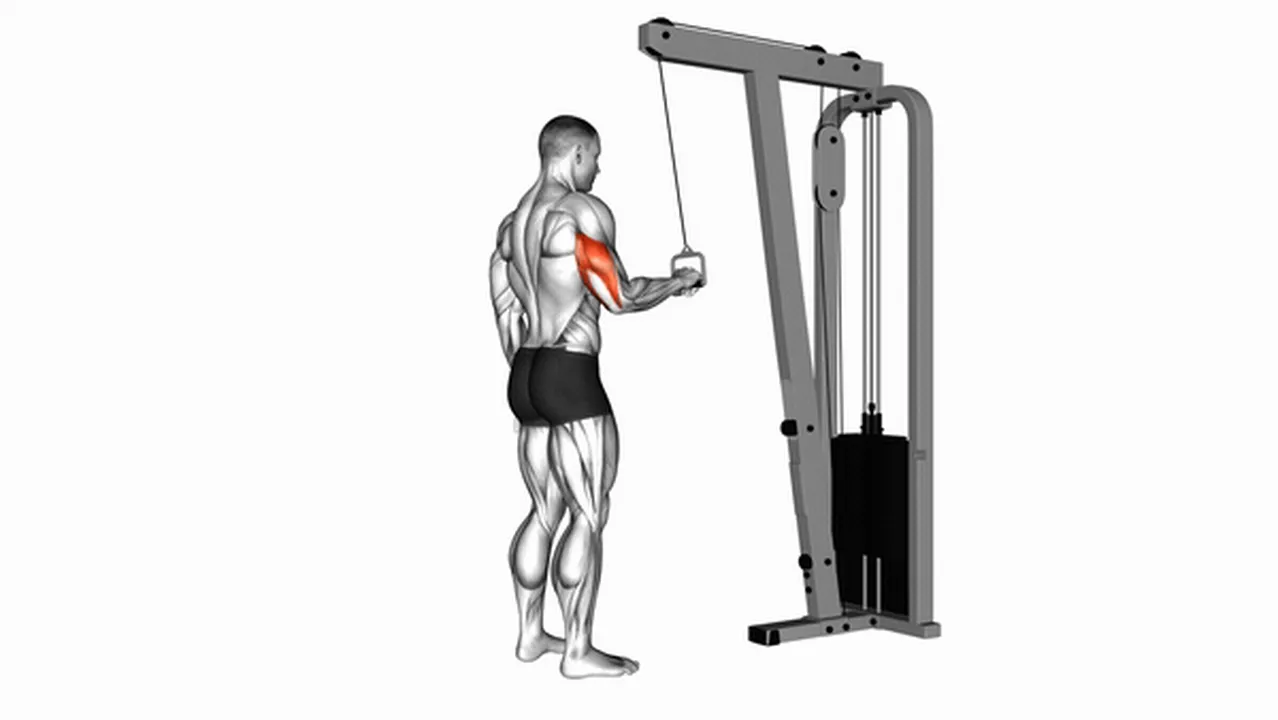 Common Cable One Arm Tricep Pushdown variations Image