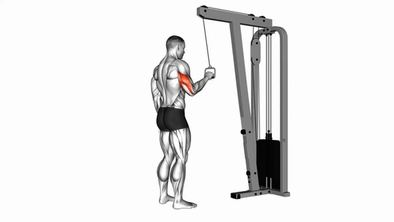 Alternatives to Cable One Arm Tricep Pushdown Image