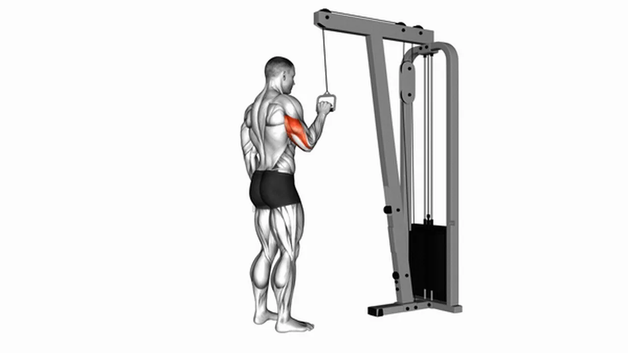 Common mistakes during Cable One Arm Tricep Pushdown Image