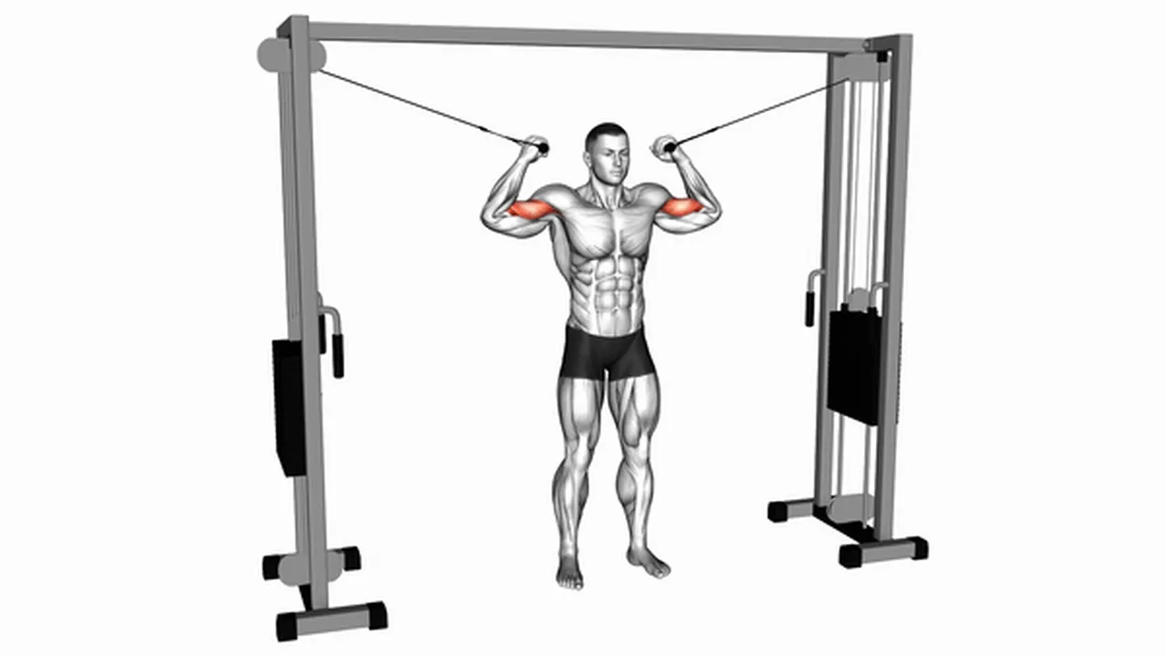 What are the benefits of Cable Overhead Curls? Image