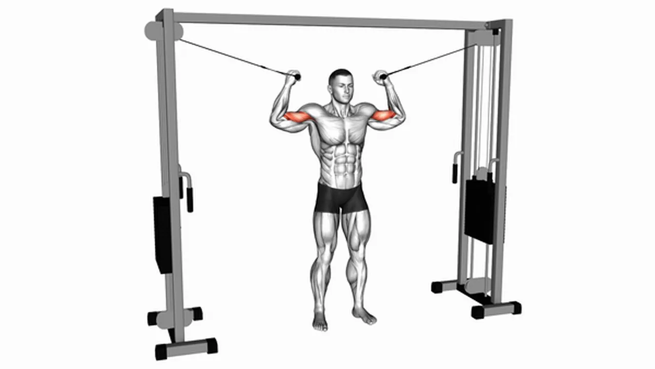 How to do Cable Overhead Curls? Image