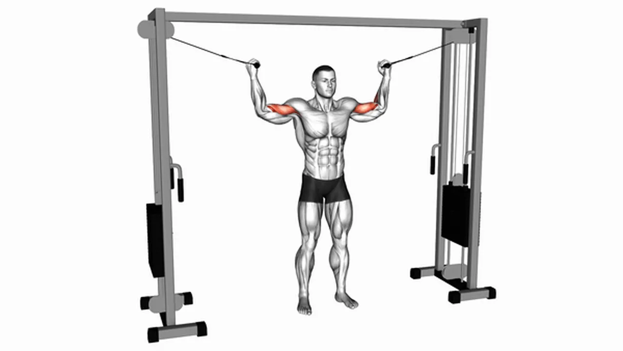 Common variations of Cable Overhead Curls Image