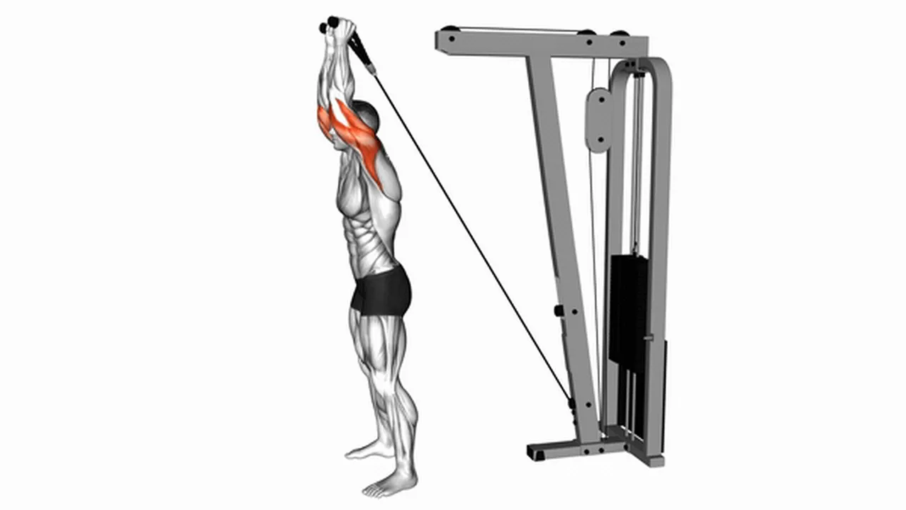 What are the benefits of Cable Overhead Triceps Extensions? Image