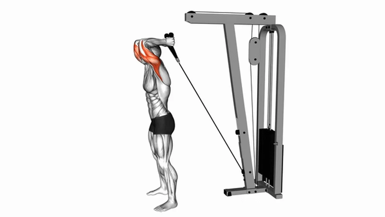 Common mistakes during Cable Overhead Triceps Extensions Image