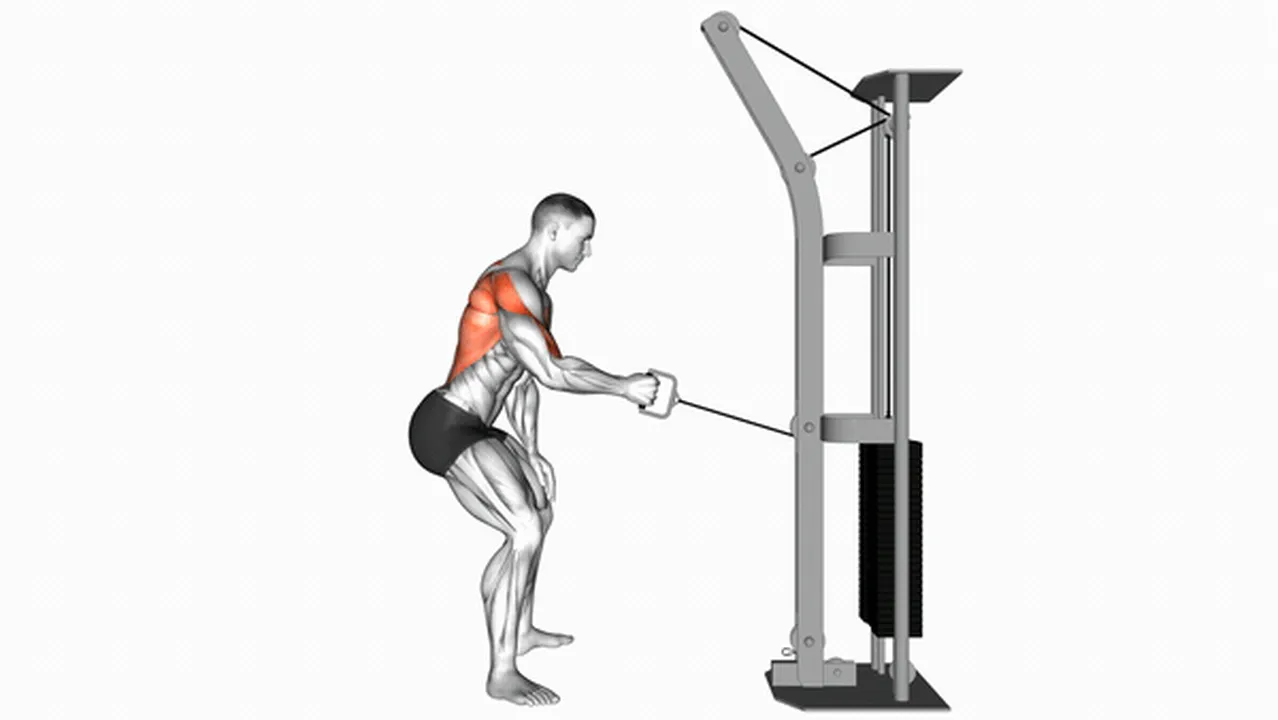 How to do Cable Palm Rotational Rows? Image