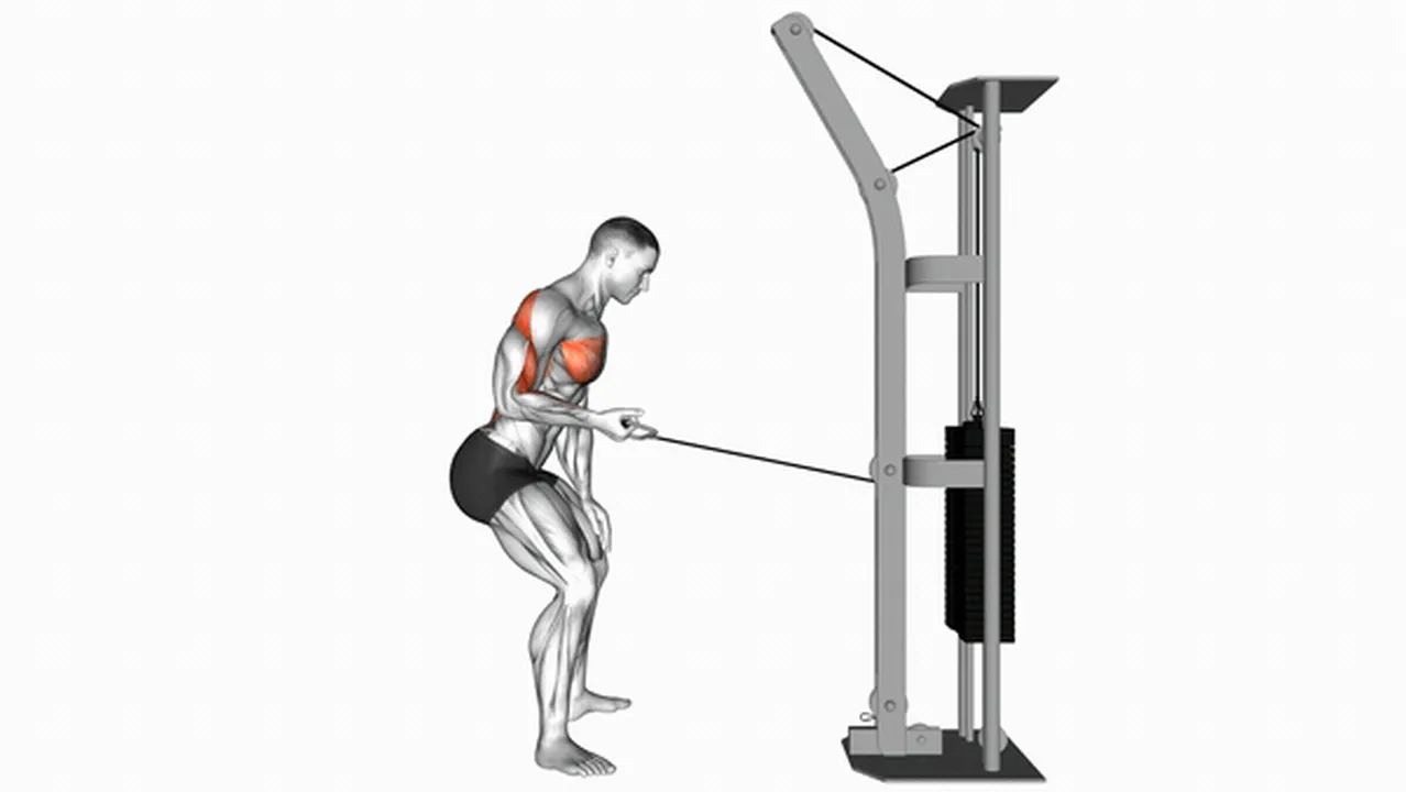 Common variations of Cable Palm Rotational Rows Image