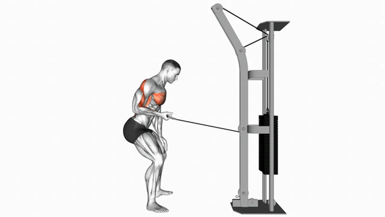 Alternatives to Cable Palm Rotational Rows Image