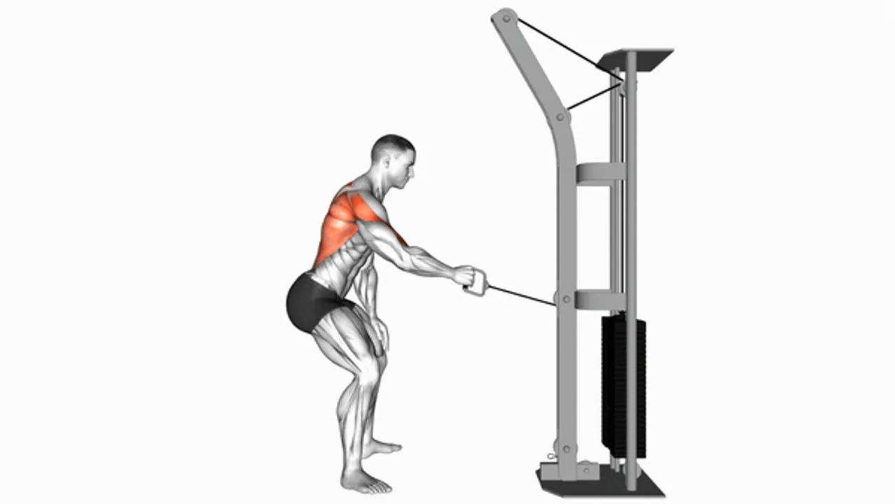 Cable Palm Rotational Row