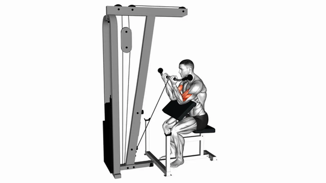 Alternatives to Cable Preacher Curls Image