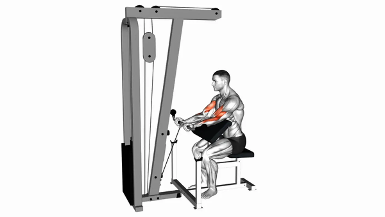 Cable Preacher Curl