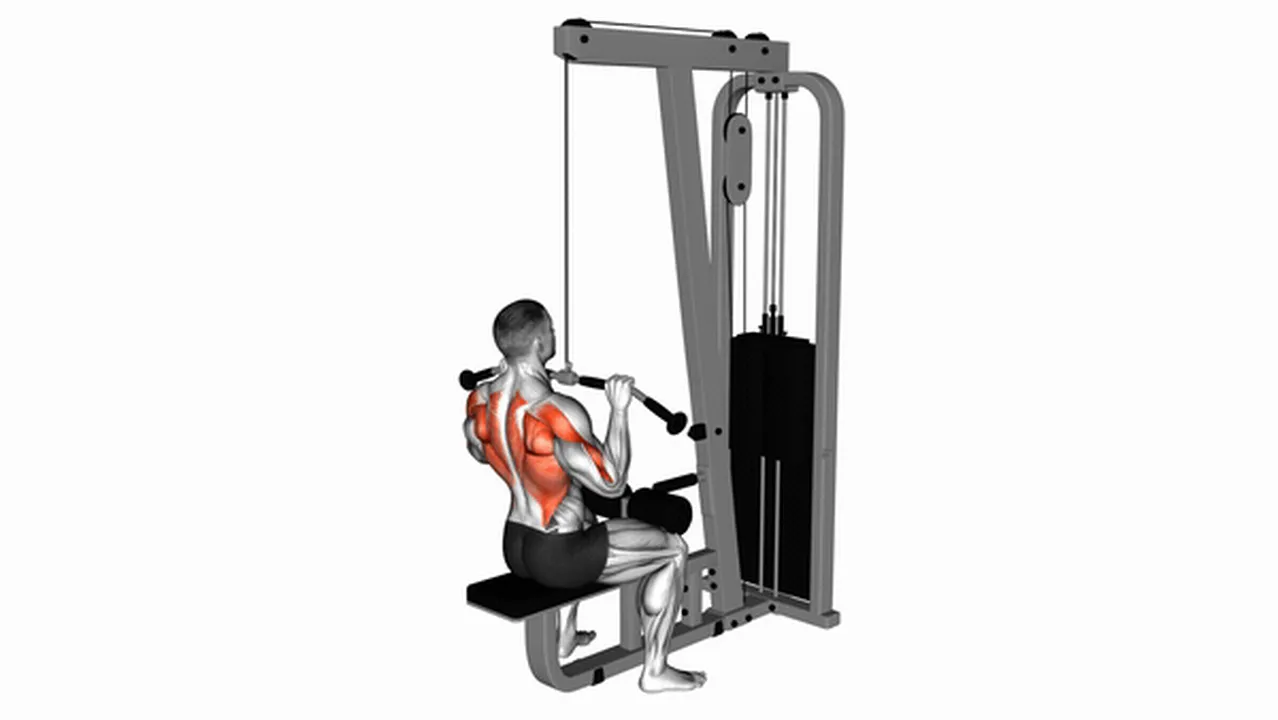 Alternatives to Cable Pulldowns Image