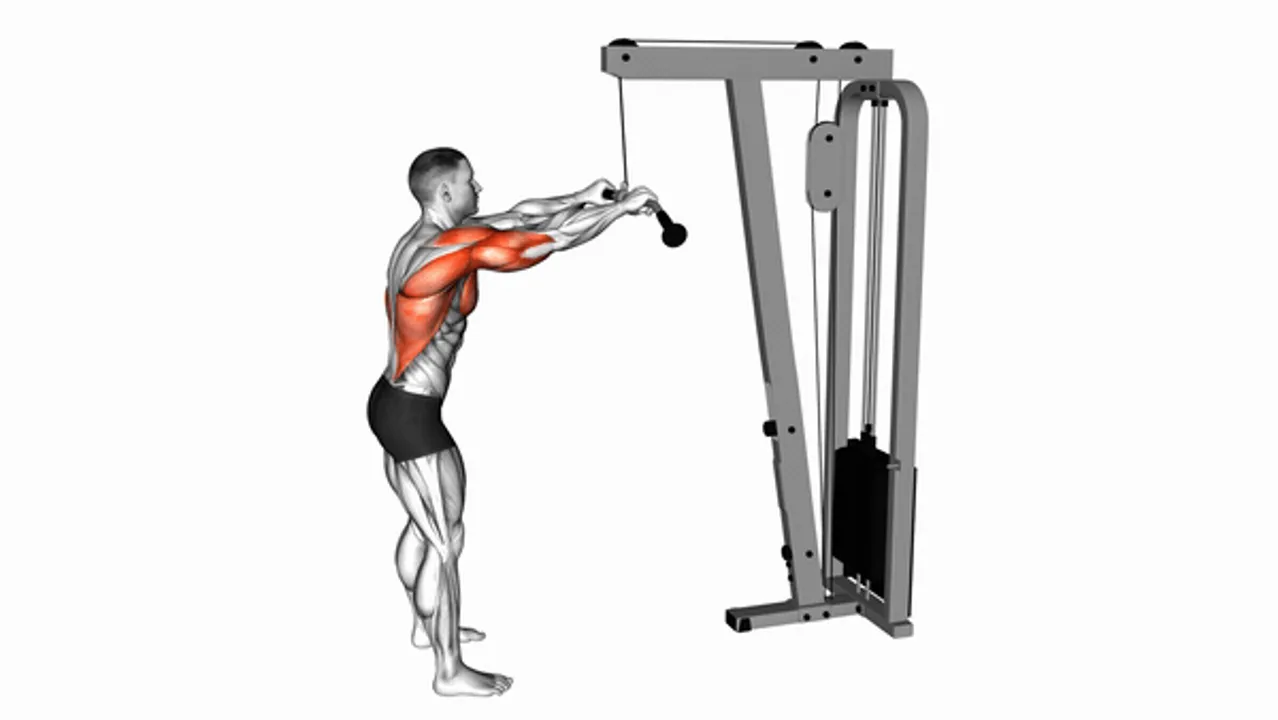 Cable Pushdown (Straight Arm)