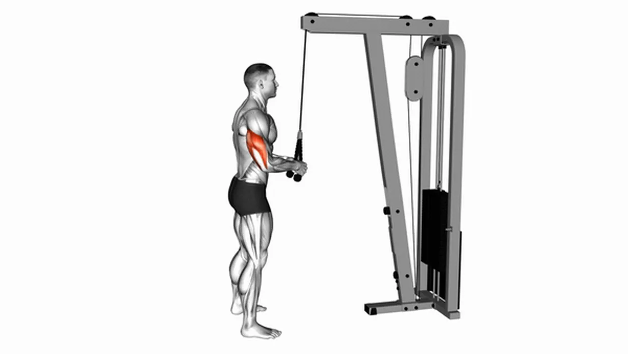 How to do Cable Pushdowns with Rope Attachment? Image