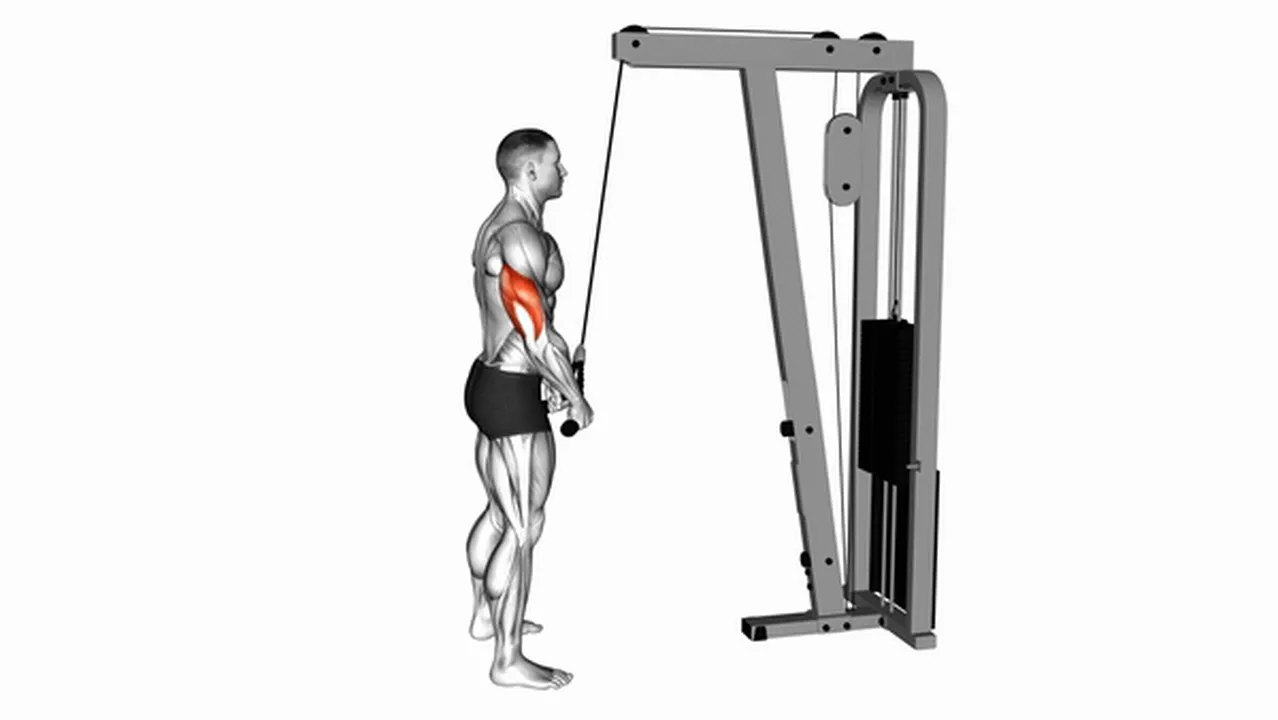 Common variations of Cable Pushdowns Image