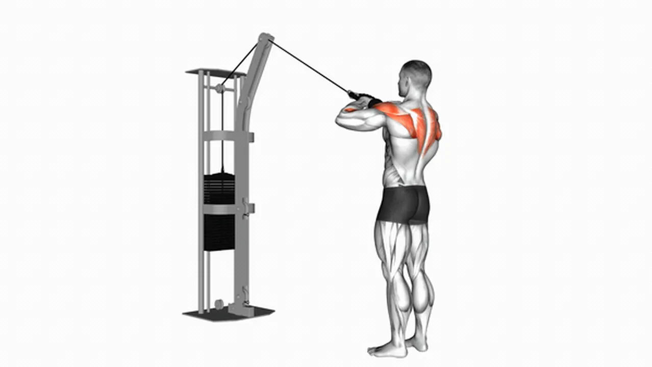 Common Cable Rear Delt Row variations Image