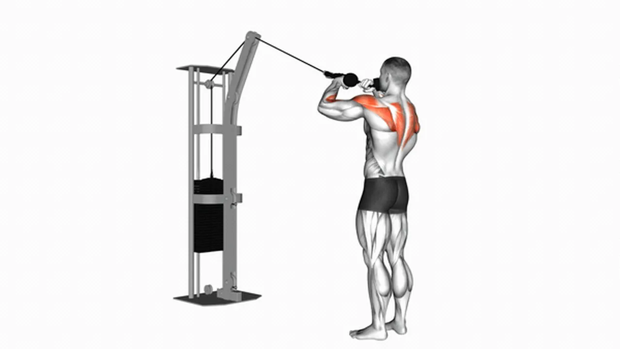 Alternatives to Cable Rear Delt Rows Image